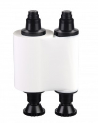 Cinta EVOLIS RCT015NAA